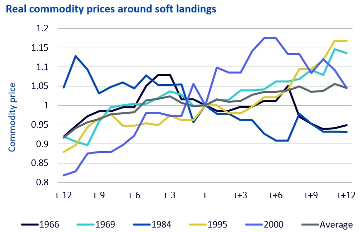 commodity jan 2024 final